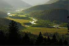 Forestry &amp; Land Maintenance