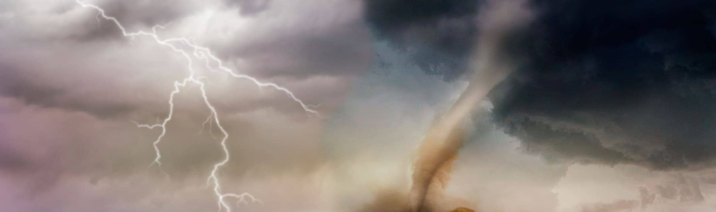Banner Poster Image
