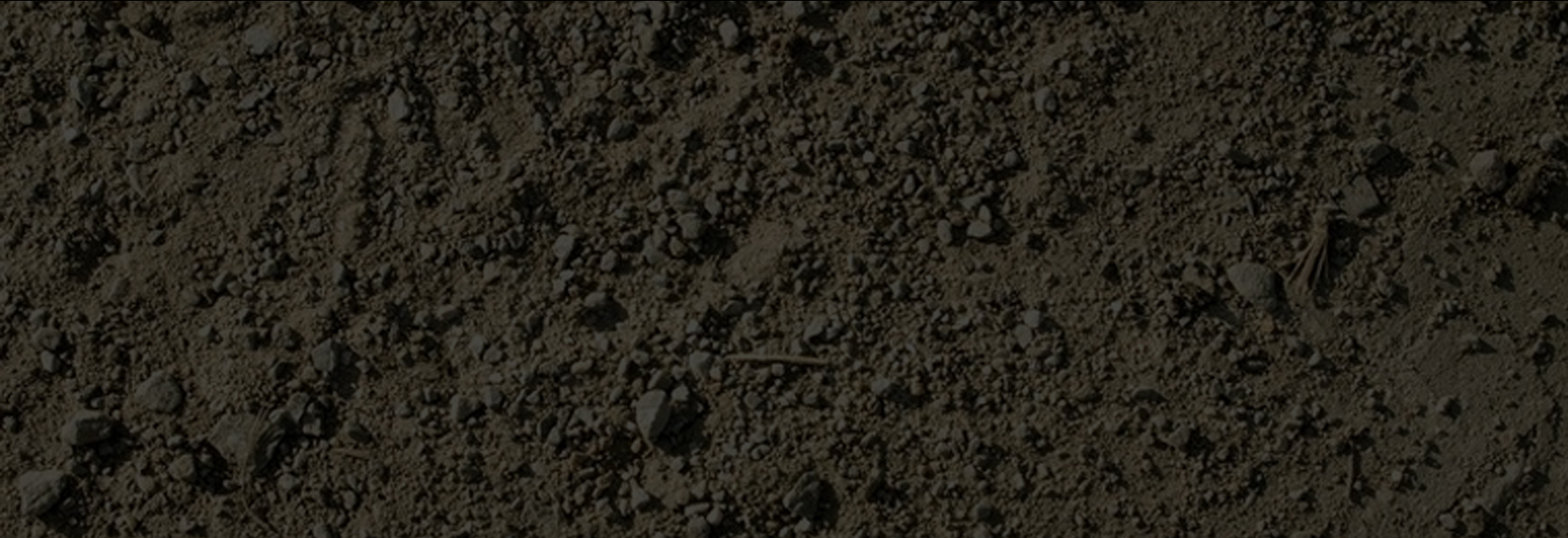 Banner Poster Image